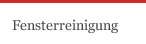 Fensterreinigung